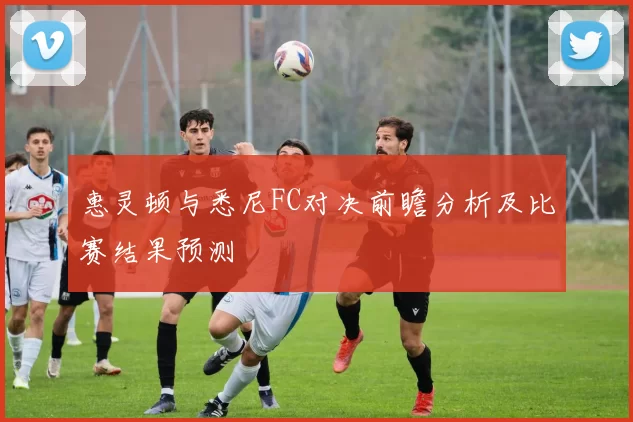 惠灵顿与悉尼FC对决前瞻分析及比赛结果预测