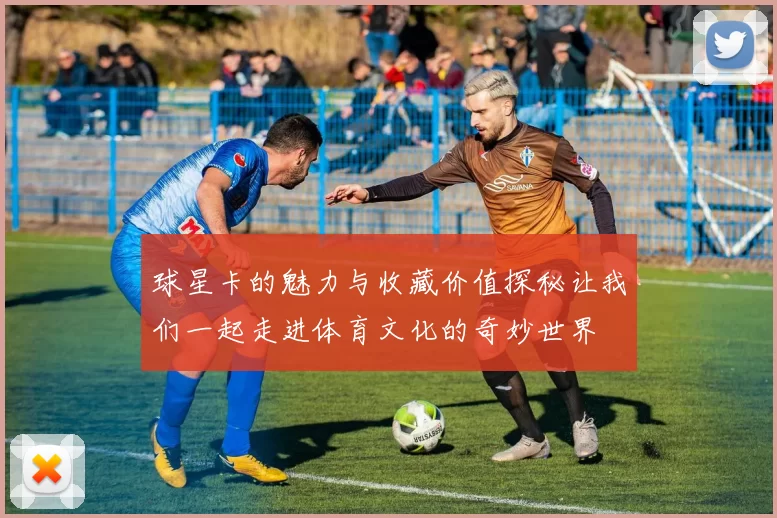 球星卡的魅力与收藏价值探秘让我们一起走进体育文化的奇妙世界